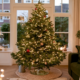 Versierde echte kerstboom in een woonkamer met een kerstboomvoet met water eronder