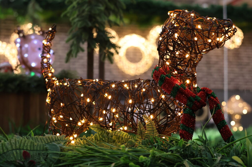 Rotan hondje met lampjes en een geruite sjaal tussen kerstgroen