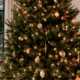 Volle kerstboom met veel warm witte lampjes die diep tussen de takken hangen met goud en rode kerstballen